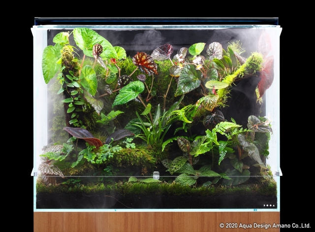 DOOA ネオグラスパルダ 300 DOOA ネオグラスパルダ 300 DOOA