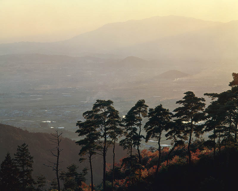 入江泰吉「大和し美し」 | 入江泰吉記念奈良市写真美術館 | 美術館