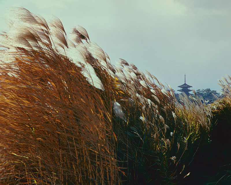入江泰吉「1960年代の奈良」 | 入江泰吉記念奈良市写真美術館 | 美術館