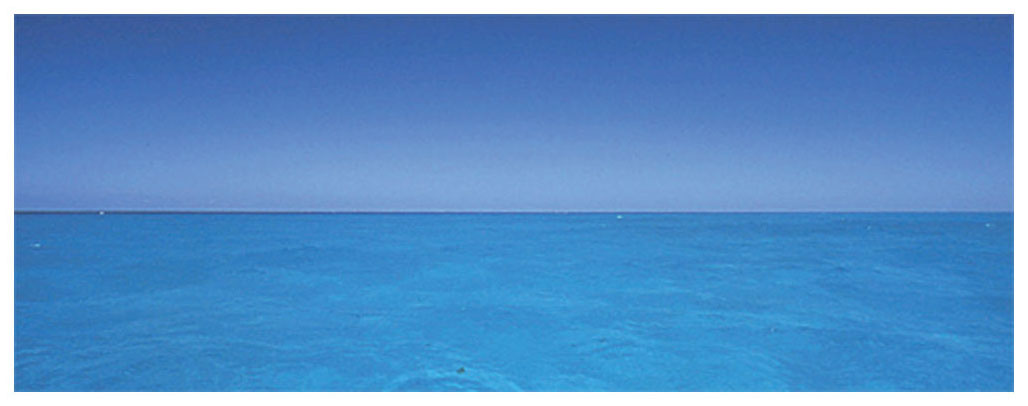 高砂淳二【blue and blue 遥か】ダイヤモンド・スクリーニング 高砂