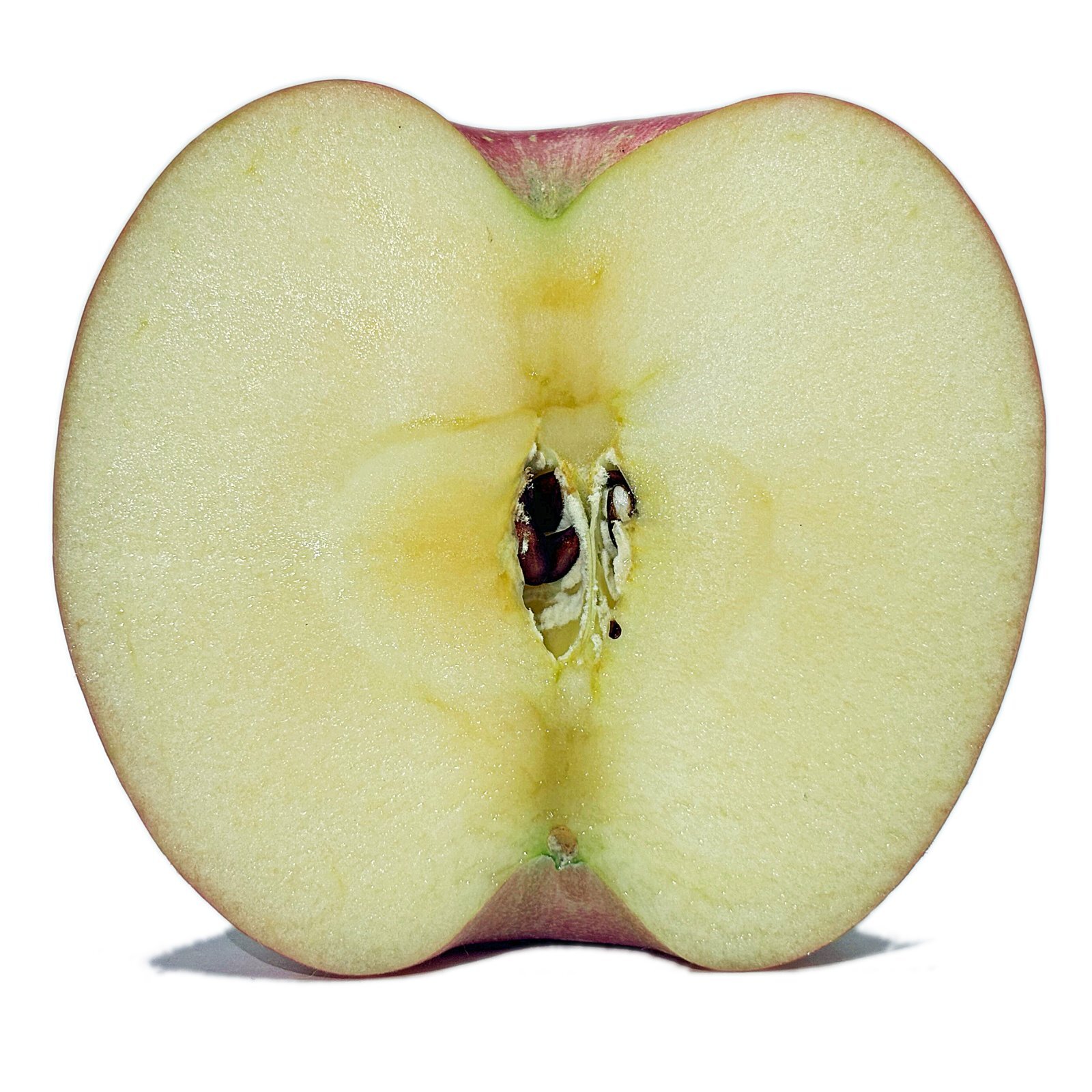 弘前ふじ 青森県産りんご 2026年10月発送開始