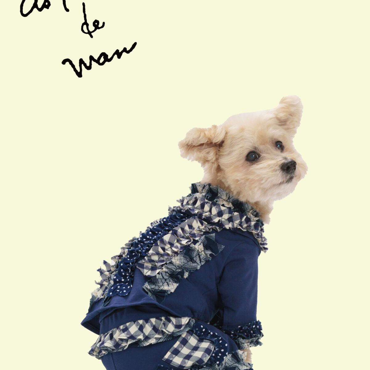 アズ ノゥ アズ デ ワン - AS KNOW AS | アズノゥアズ