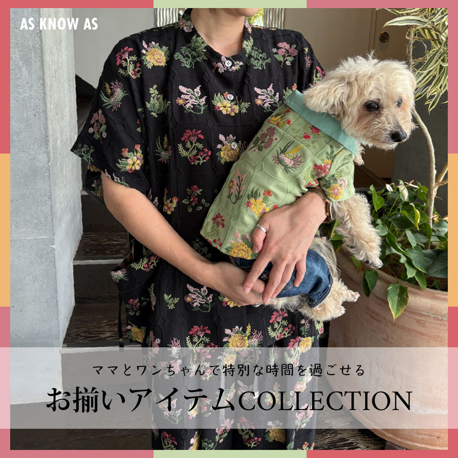 専用 試着のみ アズノウアズデワン asknowasdewan SD クール 【公式通販】