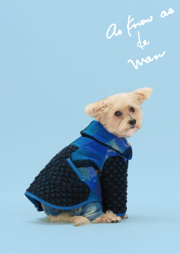 アズノウアズデワン asknowasdewan スノーウェア 上下セット フード N