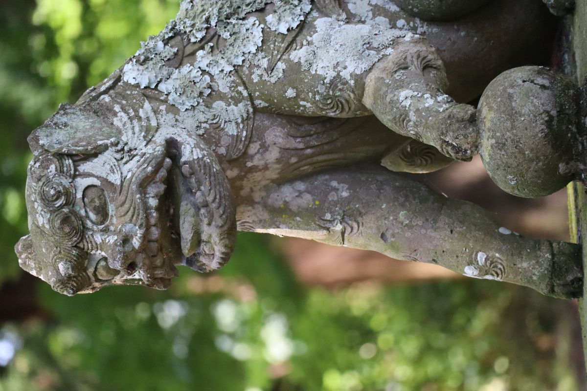 呪物 インドネシア ボルネオ島 狛犬 アソ ドラゴンドッグ 【公式通販】