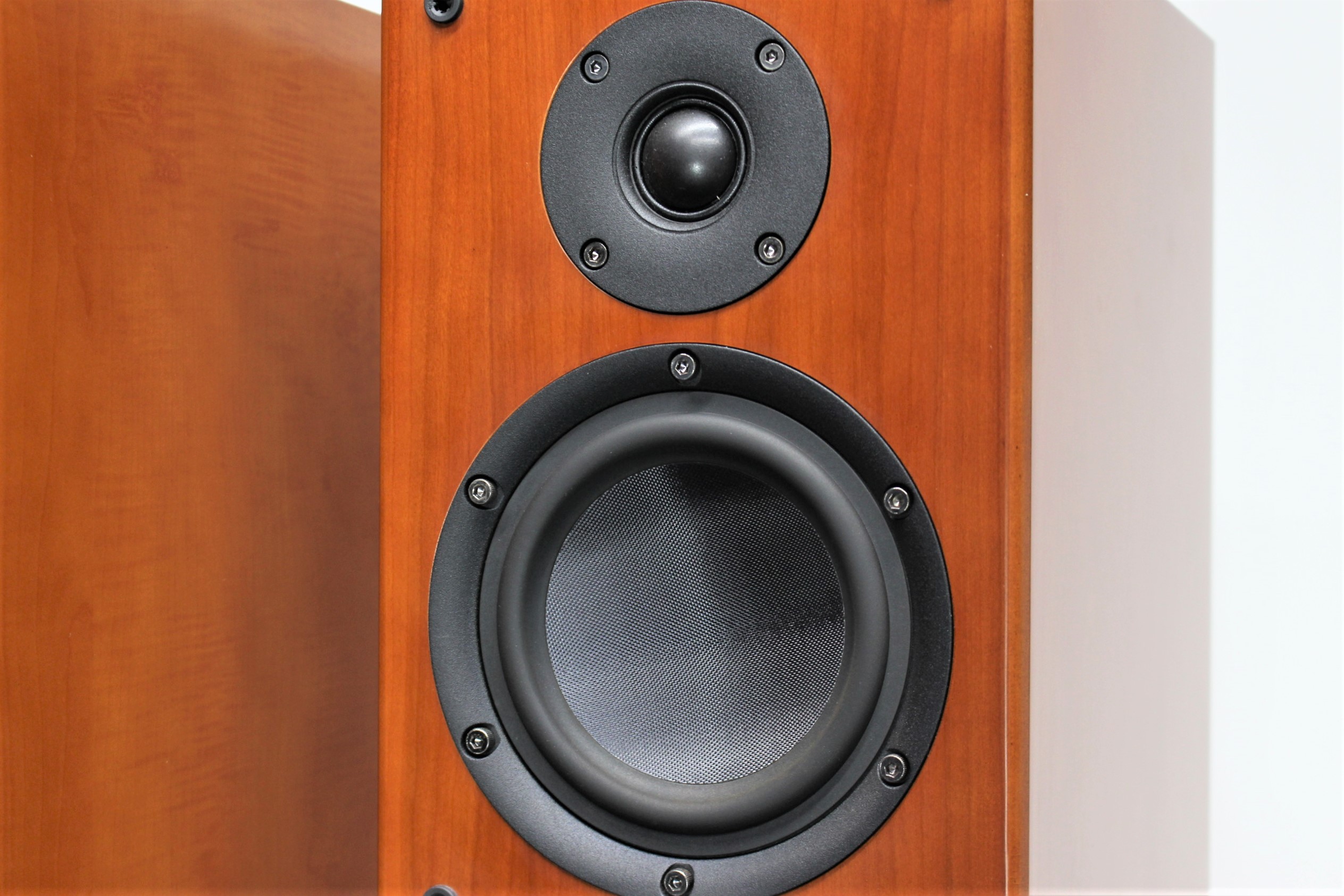 出品A】DENON SC-T55SG トールボーイスピーカー1個 DENON SC-T55SG