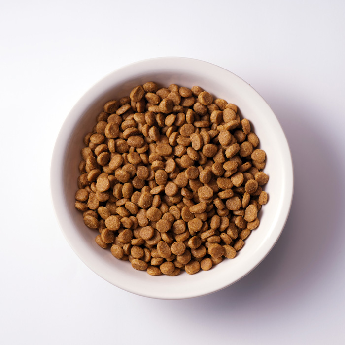 ソルビダ】グレインフリー ターキー 室内飼育全年齢対応 ドッグフード