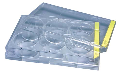 BM - 細胞培養プレート 6well 平底: ティッシュカルチャー - BIO