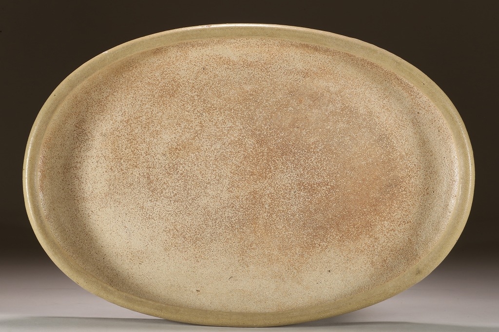 白交趾(水盤) 植木鉢 白交趾(水盤) 植木鉢 白交趾(水盤) 植木鉢 Amazon