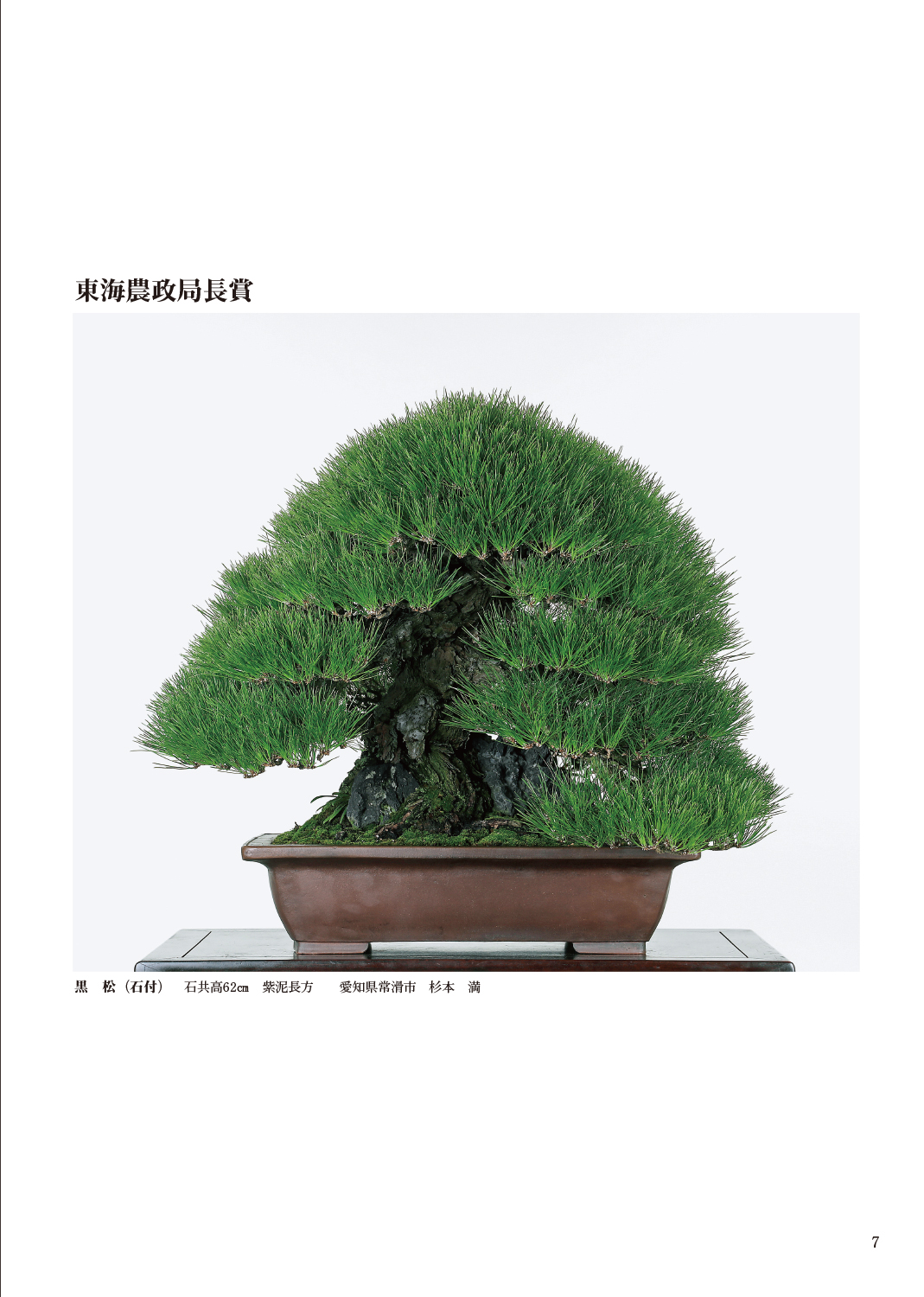 第93回 銘風盆栽展 記念帖 | 盆栽、盆栽書籍、盆栽鉢の通販│近代出版