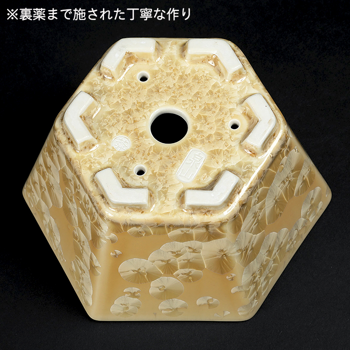 平安泉山黄花結晶六角鉢 | 盆栽、盆栽書籍、盆栽鉢の通販│近代出版