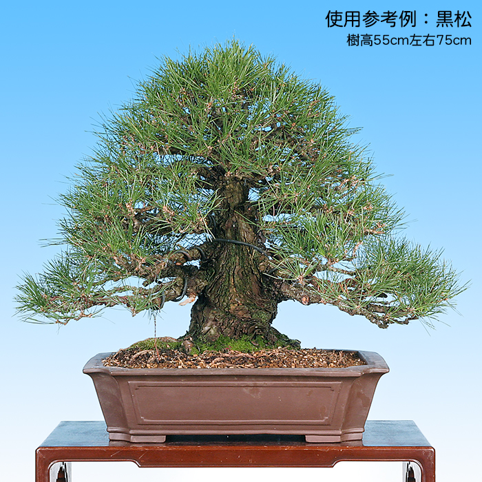 多肉植物鉢 紫砂の鉢 盆栽鉢 植木鉢 小品盆栽鉢 大品盆栽鉢