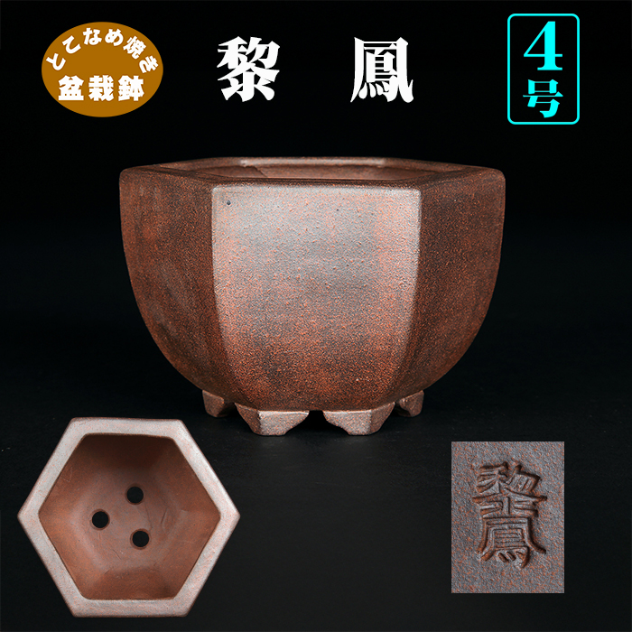 御蔵山 黒赤 六角 盆栽鉢 六角・八角の鉢販売｜盆栽鉢の