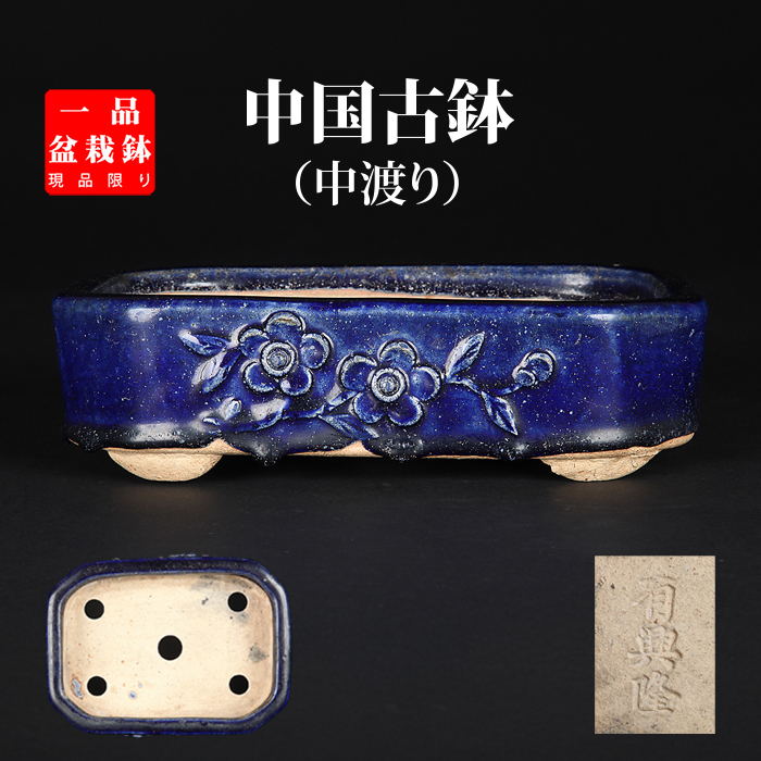 ルンバ君盆栽 盆栽鉢 植木鉢 中国鉢 ルンバ君盆栽 盆栽鉢 植木鉢 中国鉢
