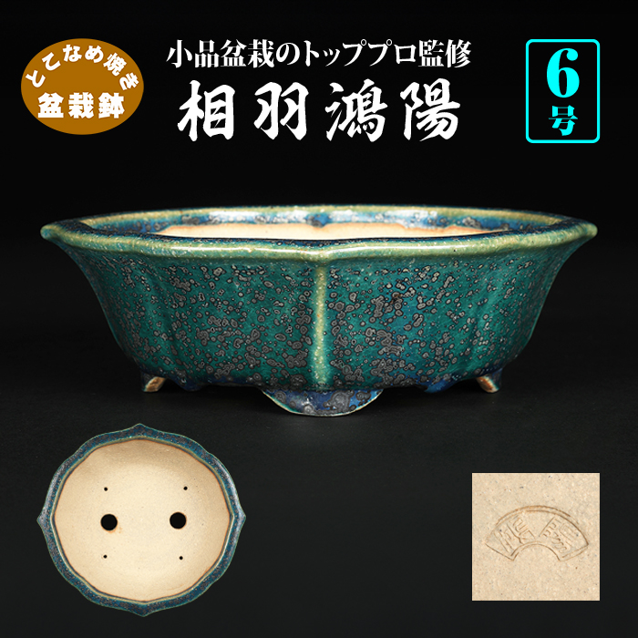 鴻陽 盆栽鉢 植木鉢 訳有り、盆栽鉢、植木鉢、鴻陽鉢 現代小鉢：鴻陽