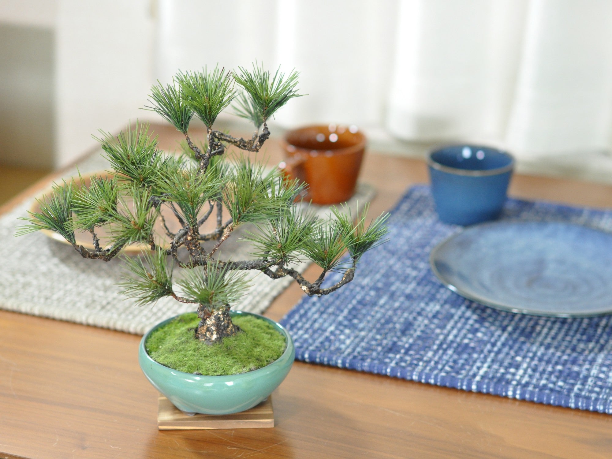 水盆 花器 無名堂 未使用 グリーン系色 水盆 花器 無名堂 未使用