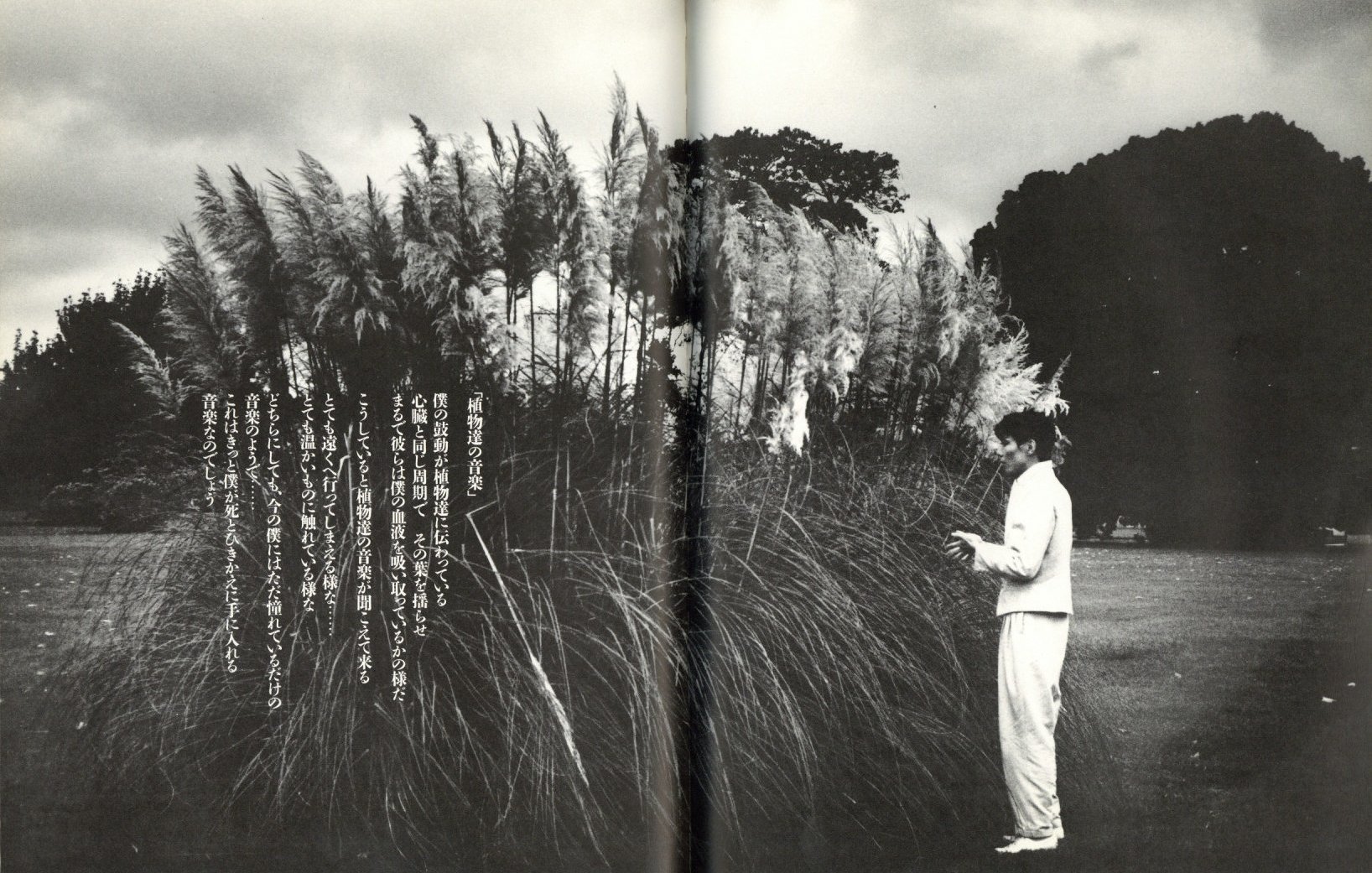 Alone / 詞：土屋昌巳 撮影：鋤田正義 | 小宮山書店 KOMIYAMA TOKYO