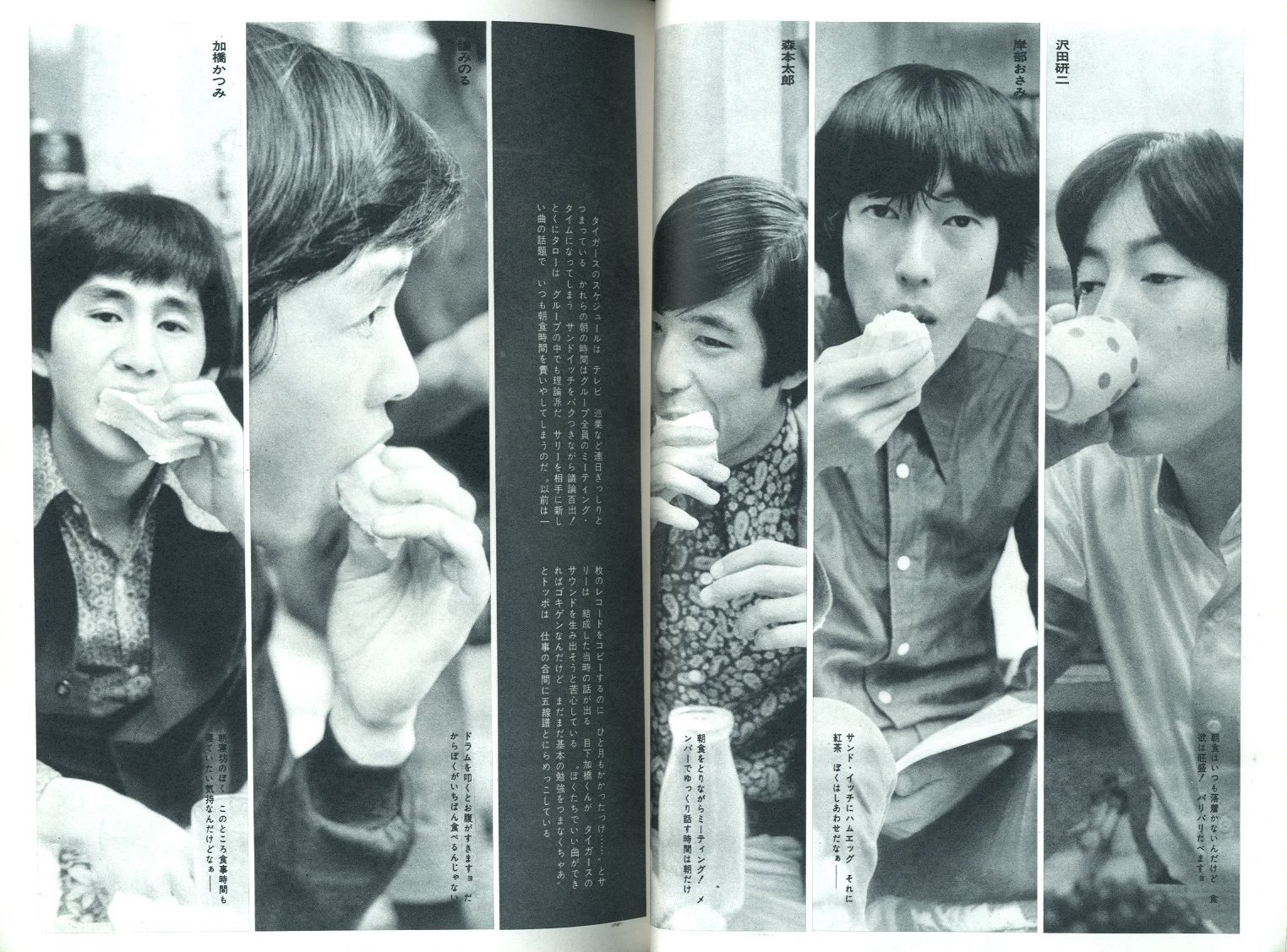 タイガース直筆サイン色紙／沢田研二・森本太郎・岸部修三・加橋かつみ