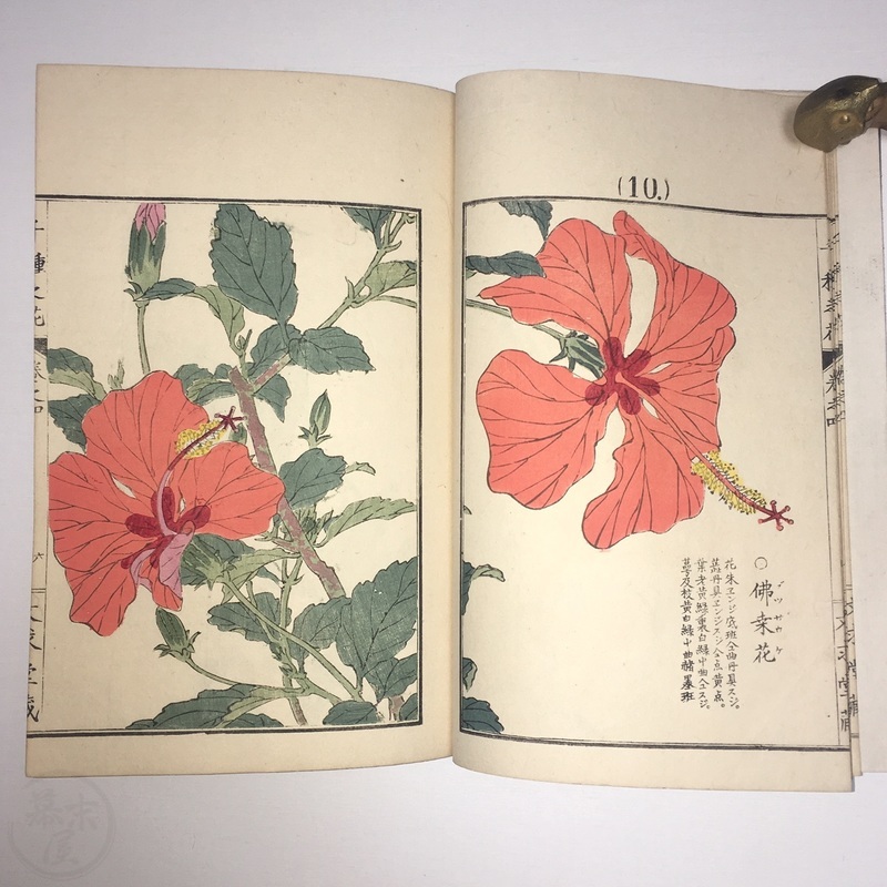 真作】幸野楳嶺/梅椿図/早春/花図/掛軸/名家伝来/AD-747 真作】幸野