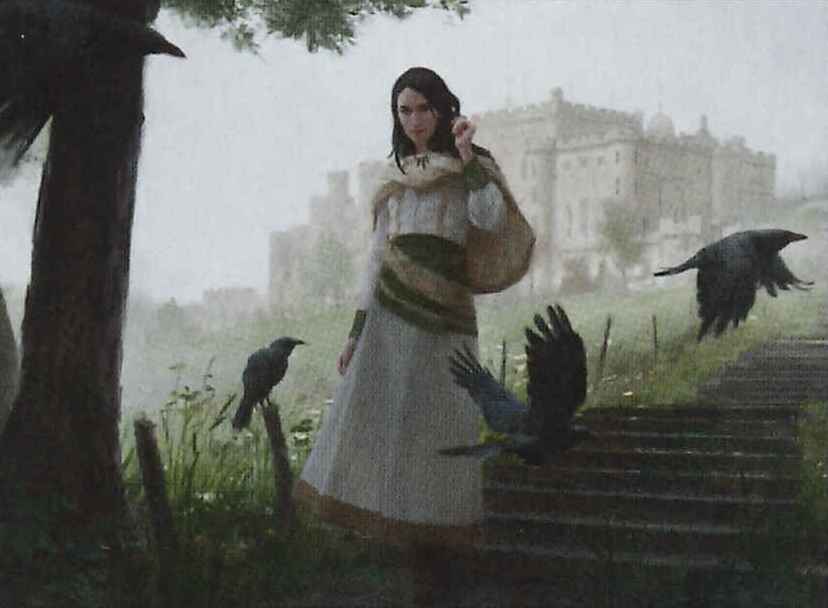 MTG 統率者デッキ 異端の癒し手、リリアナ MTG 統率者デッキ 異端の