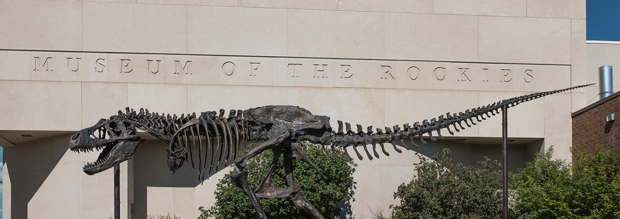 ダイナソートレイル｜観光 [ MONTANA ]