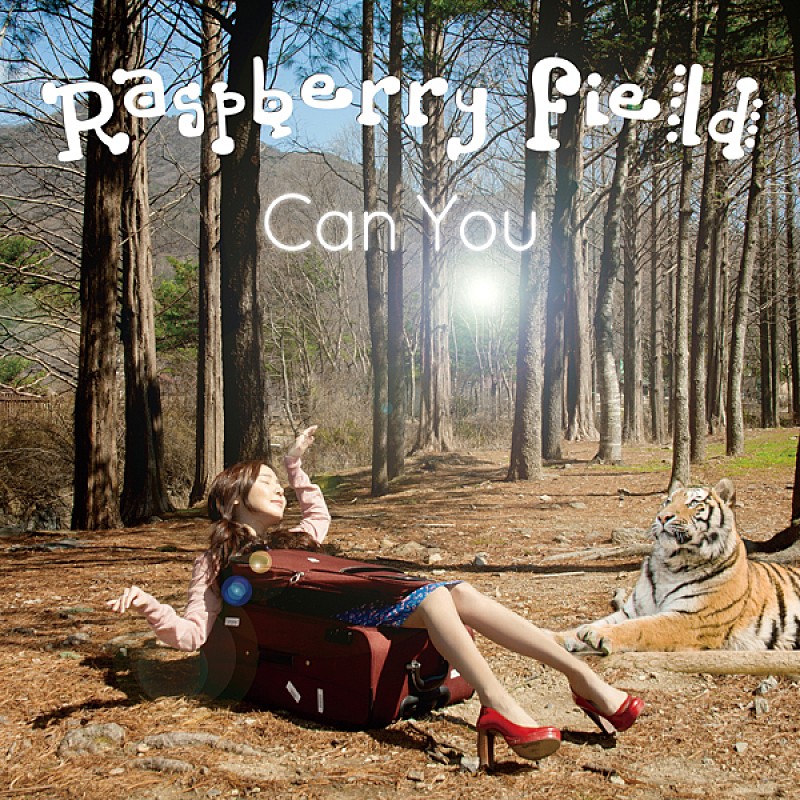 ELLEGARDEN コーチジャケット XXL 新品未開封 グッズ 細美武士