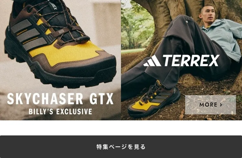 adidas TERREX SKYCHASER GORE-TEX｜BILLY'S ENT 公式通販