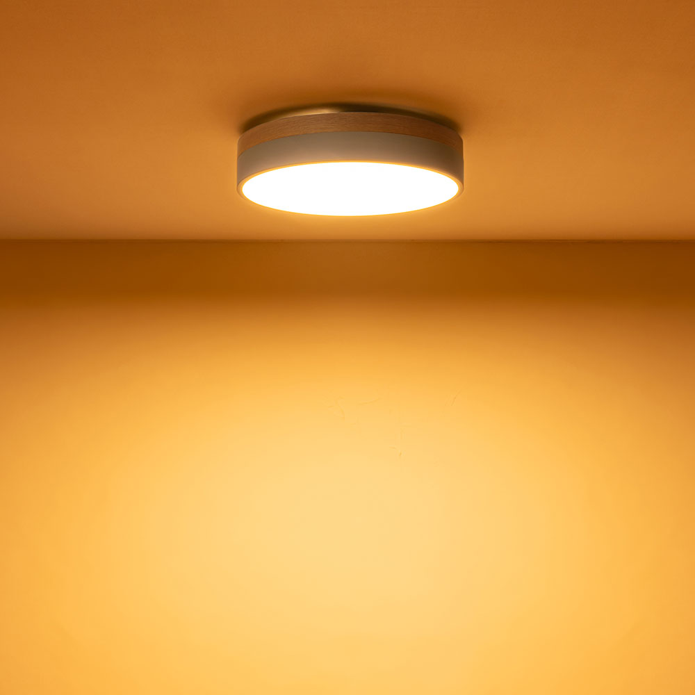 003371 Olika LED CEILING LIGHT Ver.2 | BRID