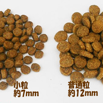 アーテミス アガリクスI/Sの正規品通販：無添加のドッグフードならブロス