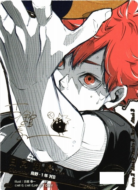 ハイキュー!!】 バボカ!! BREAK 日向翔陽 シリアル 極P 点かけあり