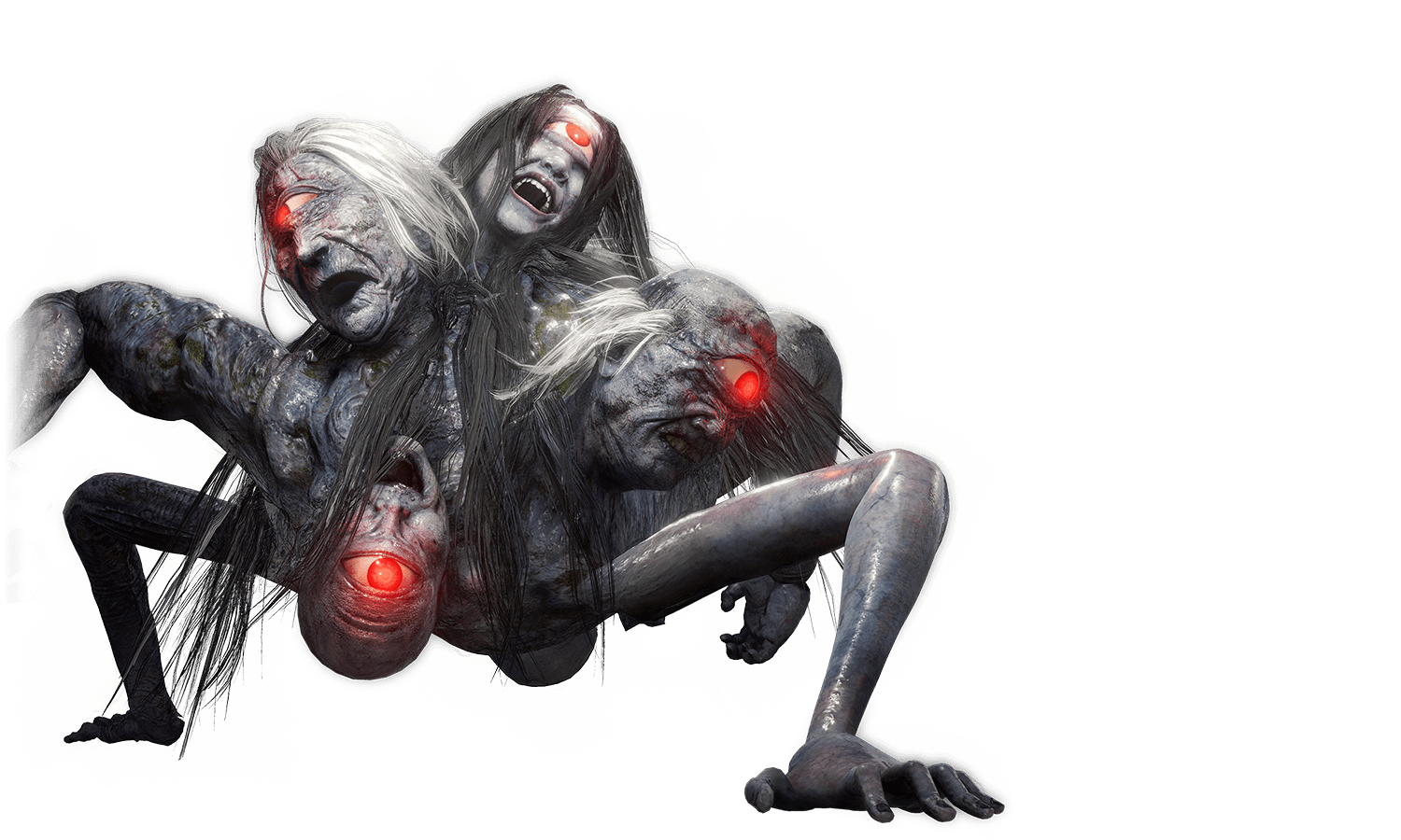 仁王面 双芸社 仁王面 双芸社 - メルカリ