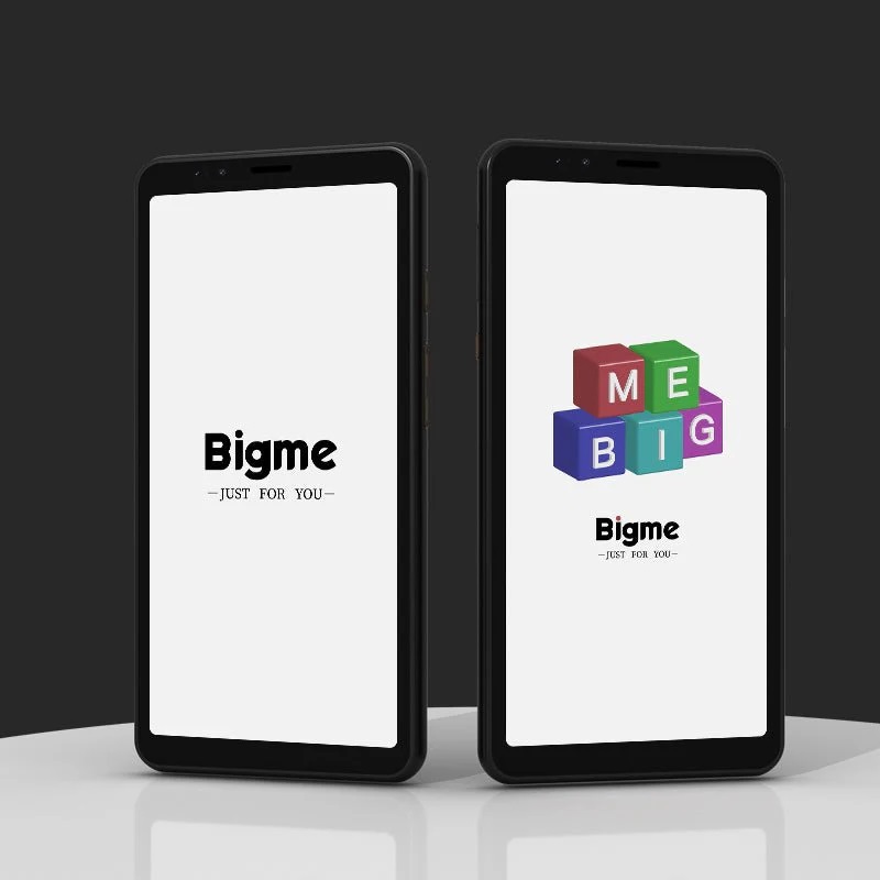 ほぼ新品】Bigme HiBreak S BW/ モノクロ電子ペーパー カラー電子