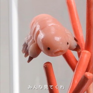 新品未開封 デスストランディング クリプトビオシス 2種セット デス