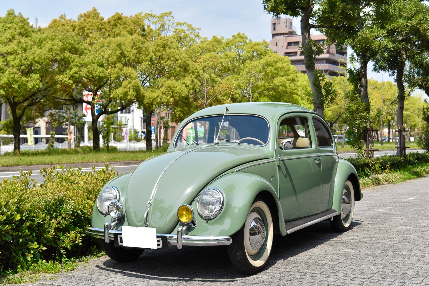 BUG SCREEN バグスクリーン インパラ ベルエア VW 旧車 BUG SCREEN