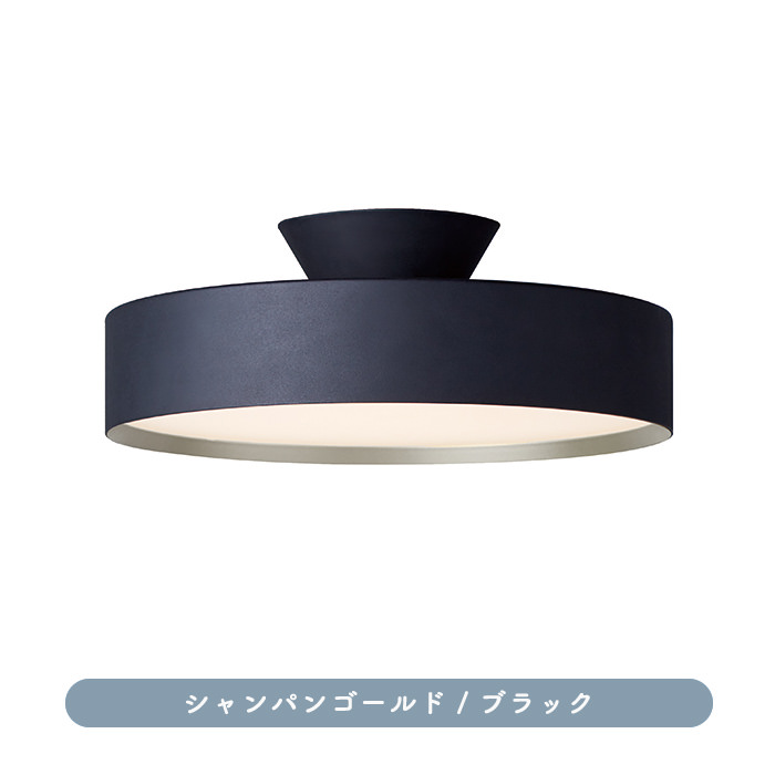 リモコン式 可動型3灯式シーリングスポット ブラック リモコン式 可動