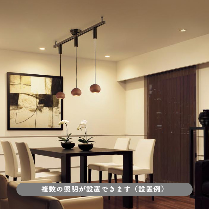 パナソニック 回転タイプ LK04083BZ/LGB16716LE1 ライト3個