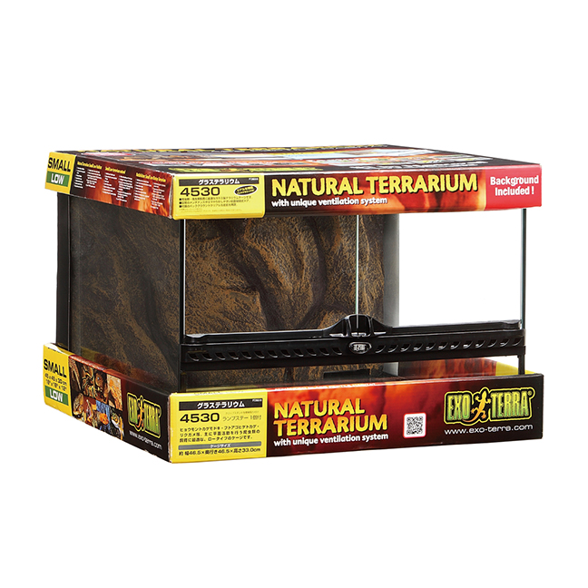 グラステラリウム 爬虫類情報 | 爬虫類用品・エキゾテラのジェックス