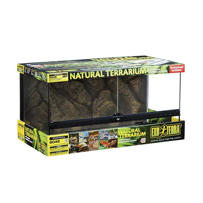 グラステラリウム 爬虫類情報 | 爬虫類用品・エキゾテラのジェックス