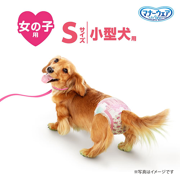 マナーウェア 女の子用 Sサイズ 4種のデザインパック4枚｜ユニ