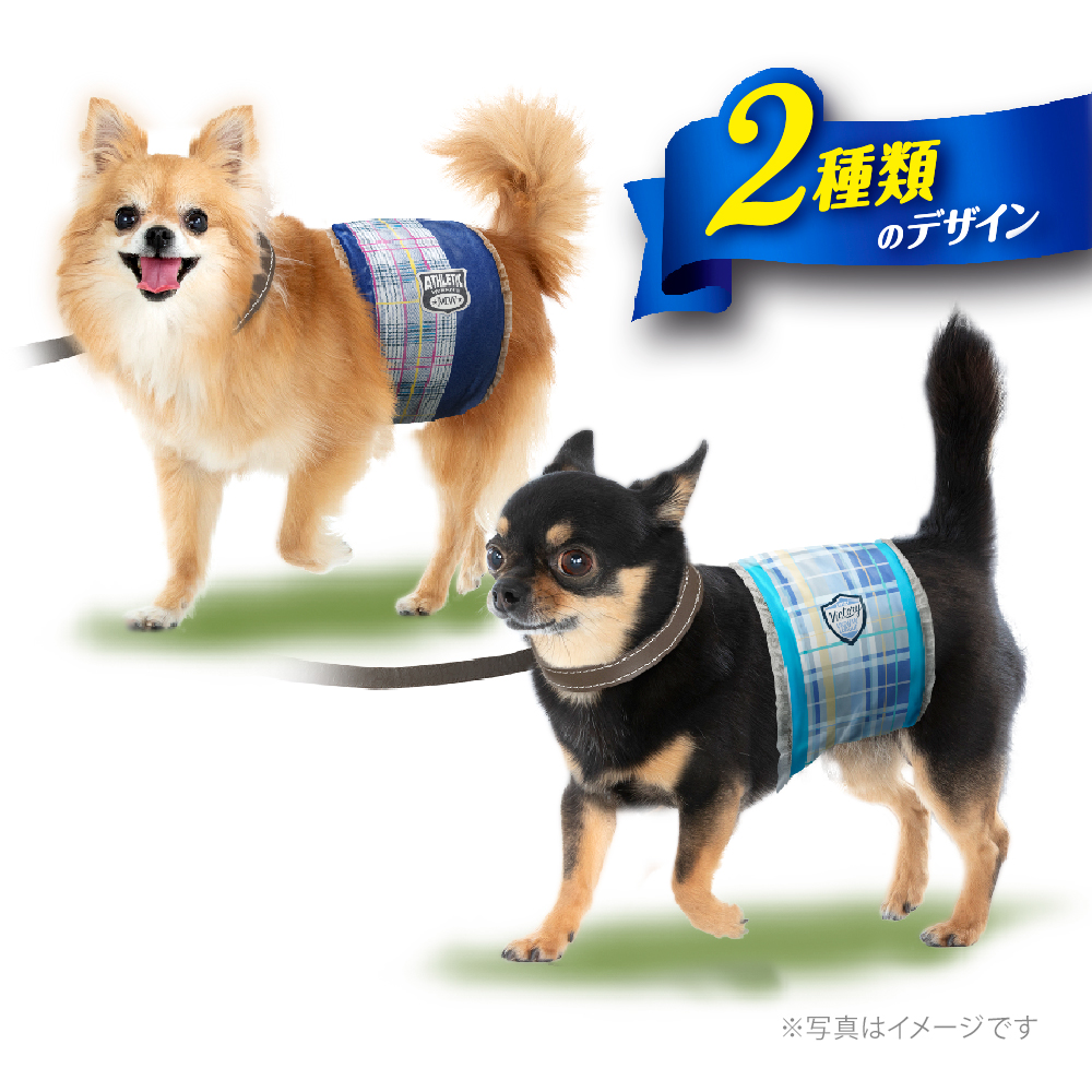 Amazon | マナーウェア 犬用 おむつ 男の子用 SSSサイズ 超小型犬用 青