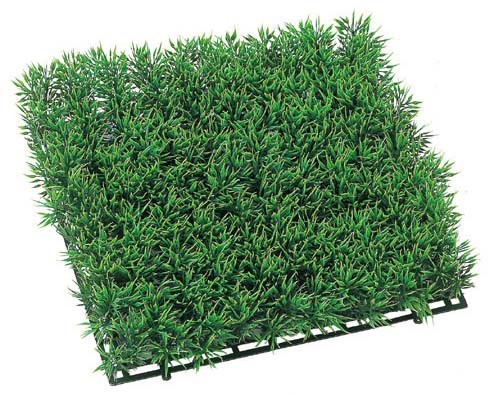 カテゴリ「グリーンデコレーション」商品一覧ページ | 株式会社ドガ