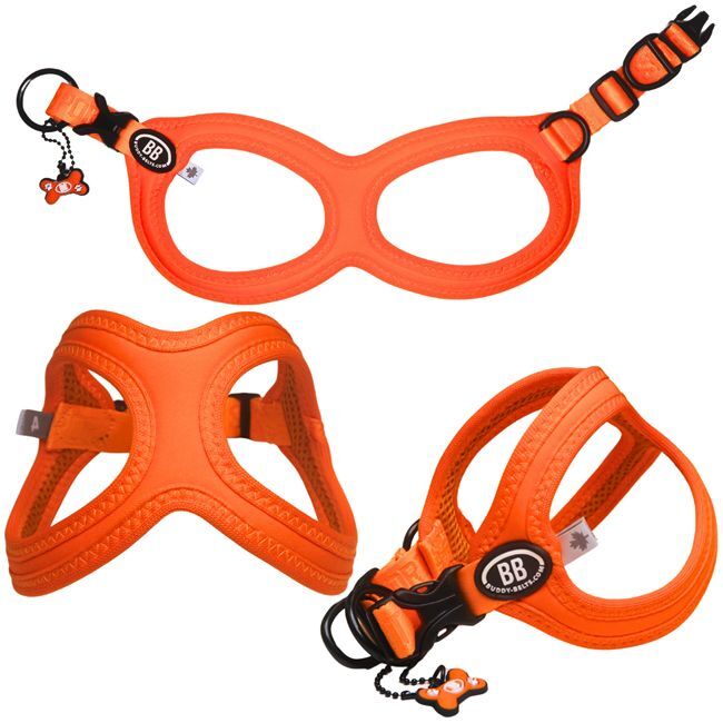 バディーベルト BBスポーツハーネス 3.5号 小型犬 ペット BUDDYBELT