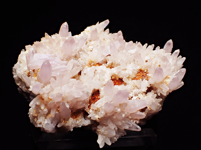 栃木県富井鉱山産 紫水晶 (Amethyst / Japan) - 鉱物標本販売店