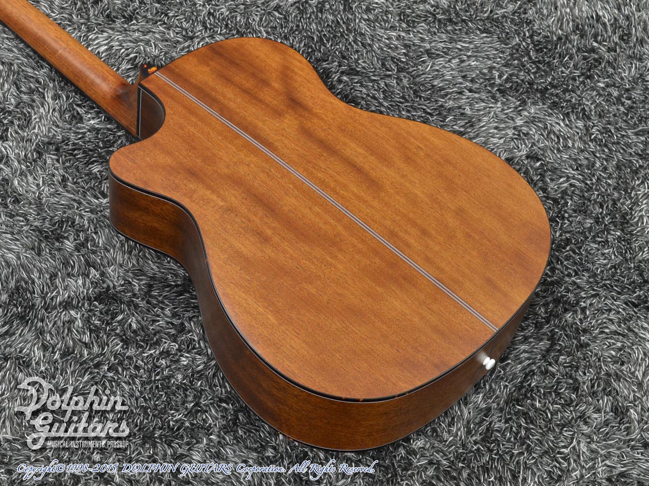 MORRIS F-601C (Mahogany)|ドルフィンギターズ