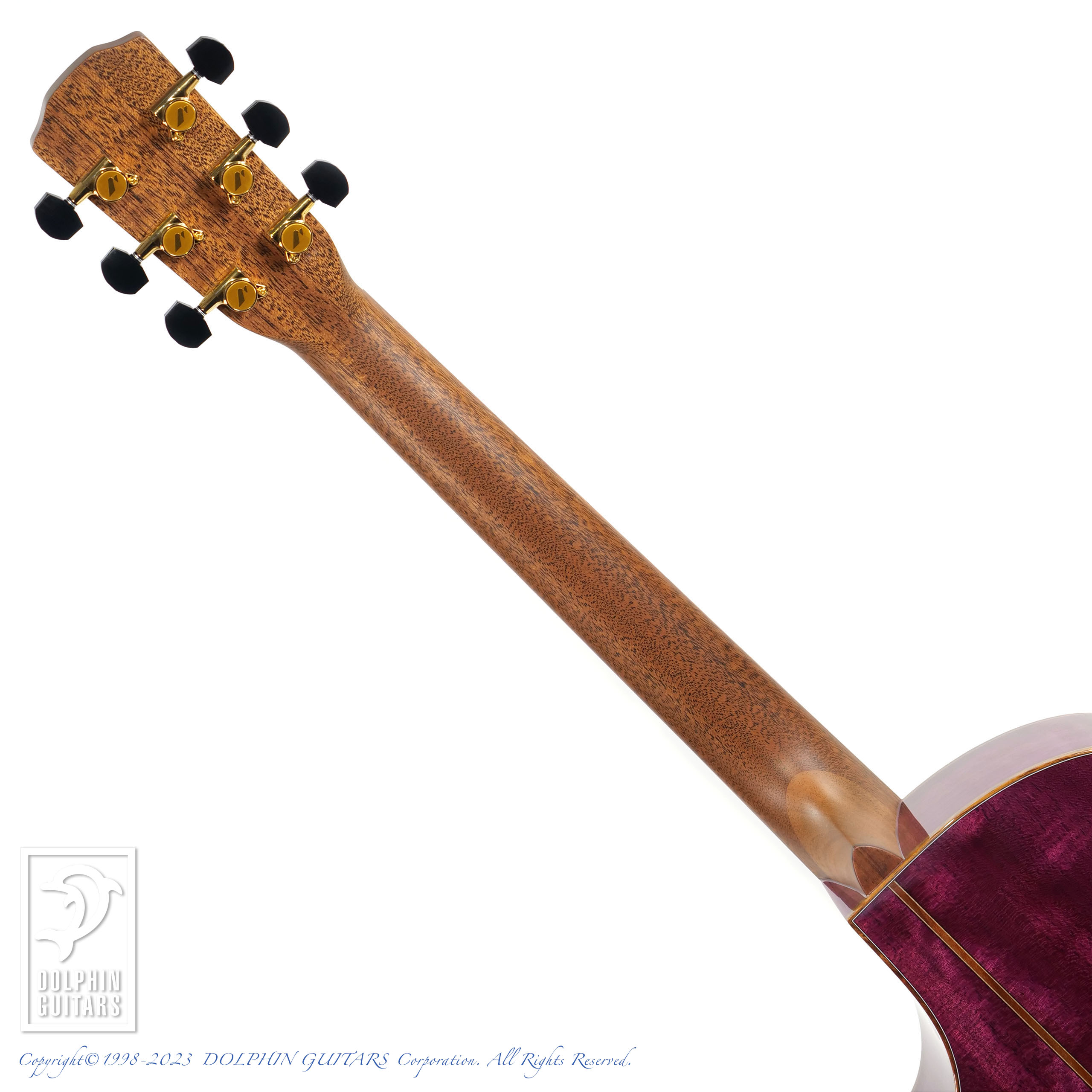 MORRIS S-104PH 2024 Limited Edition For FingerPicking|ドルフィン