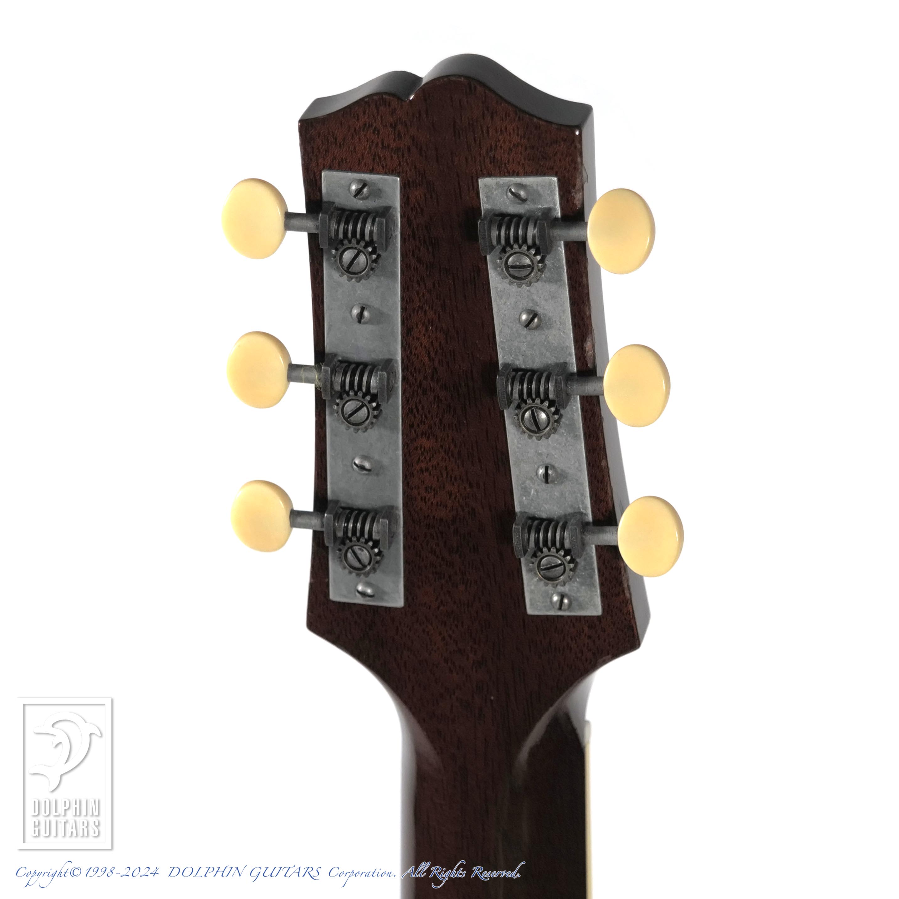 SWITCH SL-1 mh (Black Top)|ドルフィンギターズ