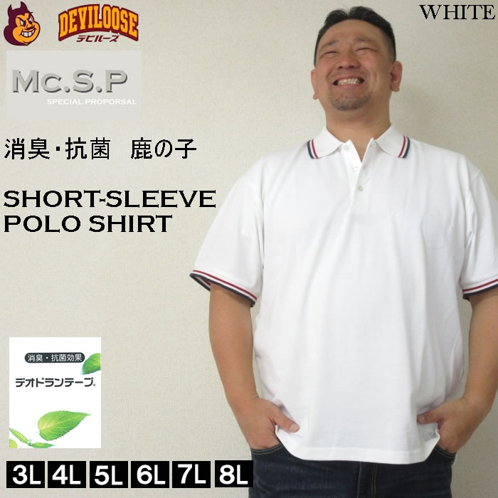 12784262-2.jpg