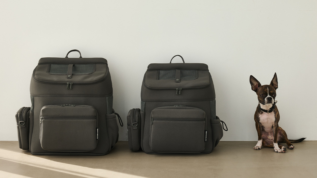 CITYDOGとつくった愛犬との時間を豊かにするドッググッズ | DEAN