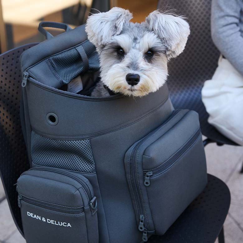 DEAN ＆ DELUCA｜CITY DOG バックパックキャリー L| DEAN & DELUCA【公式】