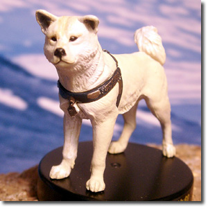 レア 国立科学博物館 秋田犬 ハチ ぬいぐるみ おすわり ハチ号